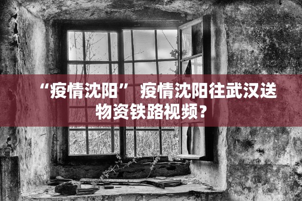 “疫情沈阳” 疫情沈阳往武汉送物资铁路视频？