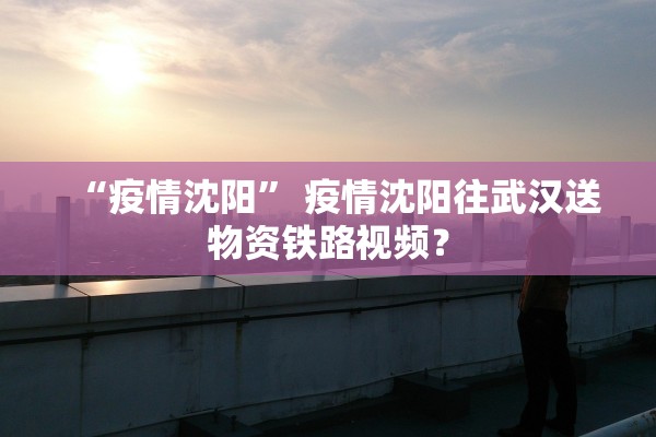 “疫情沈阳” 疫情沈阳往武汉送物资铁路视频？