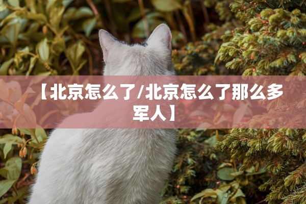 昨日新增本土4例,昨日新增本土20+18例
