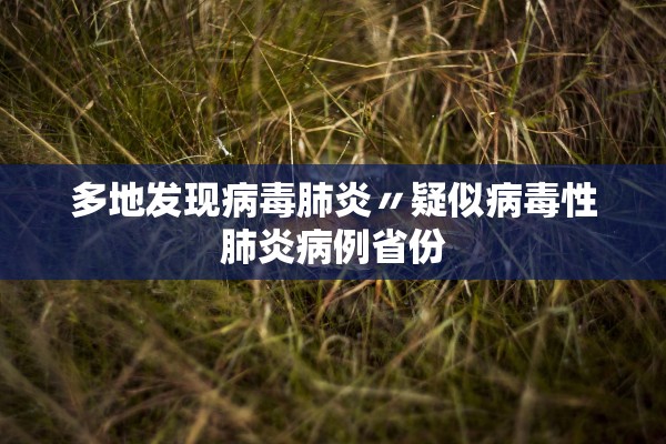 多地发现病毒肺炎〃疑似病毒性肺炎病例省份 多地发现病毒肺炎〃疑似病毒性肺炎病例省份