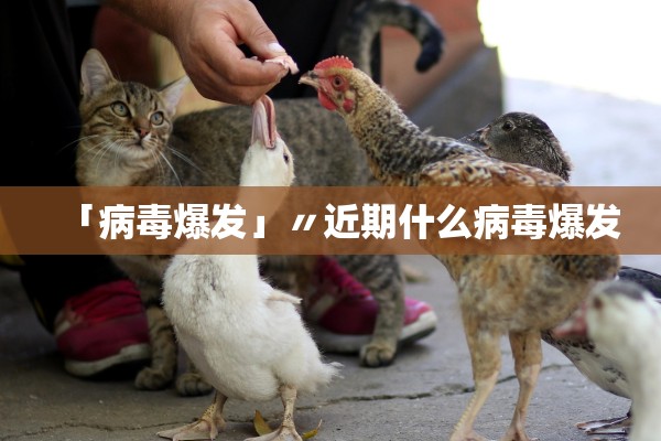 「病毒爆发」〃近期什么病毒爆发