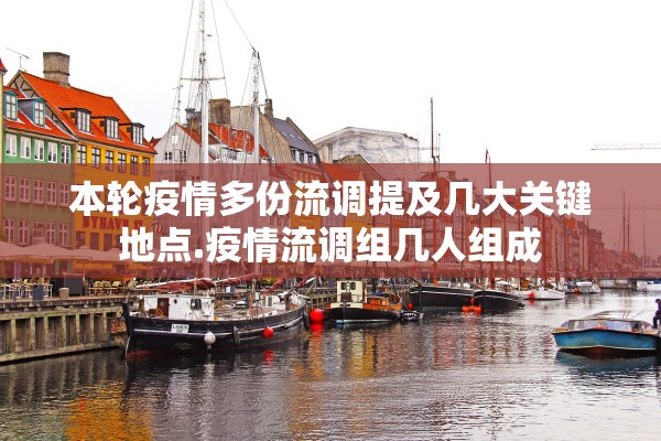 本轮疫情多份流调提及几大关键地点.疫情流调组几人组成