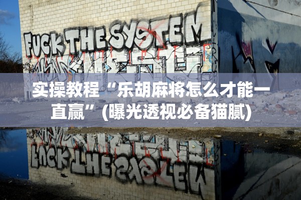 实操教程“乐胡麻将怎么才能一直赢”(曝光透视必备猫腻)