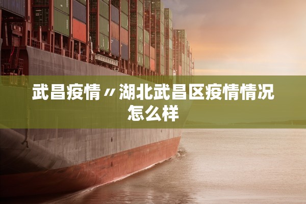 武昌疫情〃湖北武昌区疫情情况怎么样