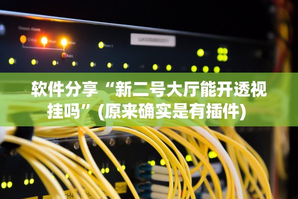 软件分享“新二号大厅能开透视挂吗”(原来确实是有插件) 