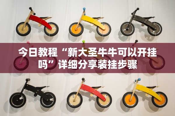 今日教程“新大圣牛牛可以开挂吗”详细分享装挂步骤