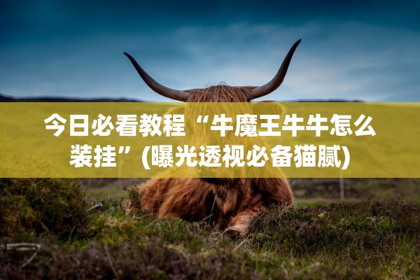 今日必看教程“牛魔王牛牛怎么装挂”(曝光透视必备猫腻)