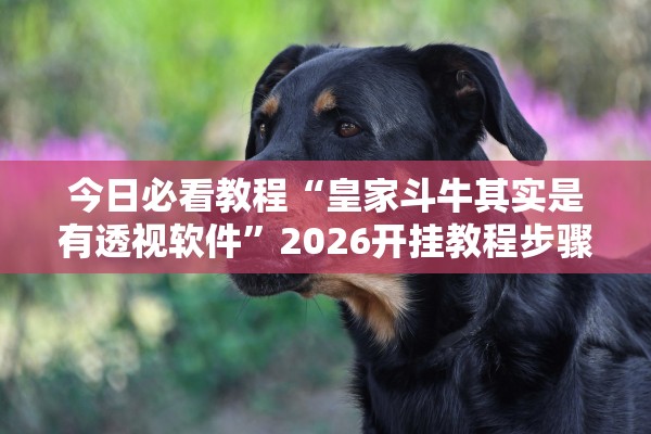 今日必看教程“皇家斗牛其实是有透视软件”2026开挂教程步骤