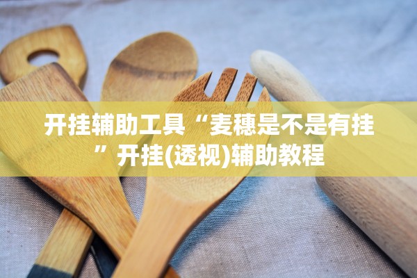 开挂辅助工具“麦穗是不是有挂”开挂(透视)辅助教程