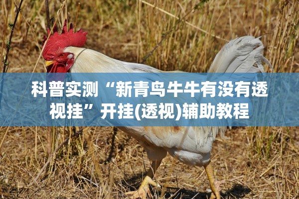 科普实测“新青鸟牛牛有没有透视挂”开挂(透视)辅助教程