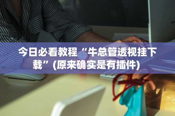 今日必看教程“牛总管透视挂下载	”(原来确实是有插件) 