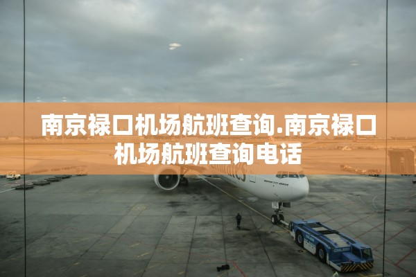 南京禄口机场航班查询.南京禄口机场航班查询电话