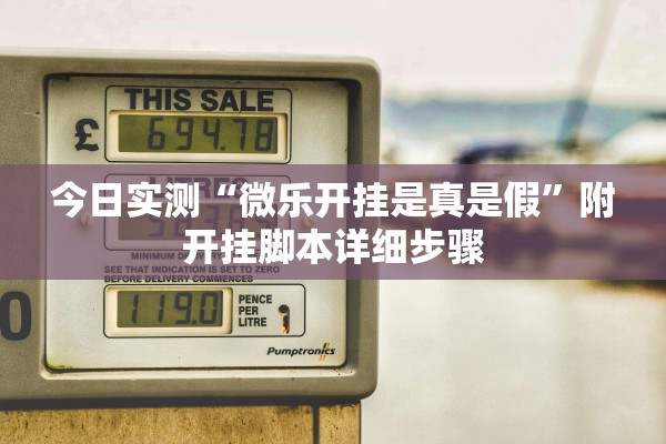 今日实测“微乐开挂是真是假”附开挂脚本详细步骤