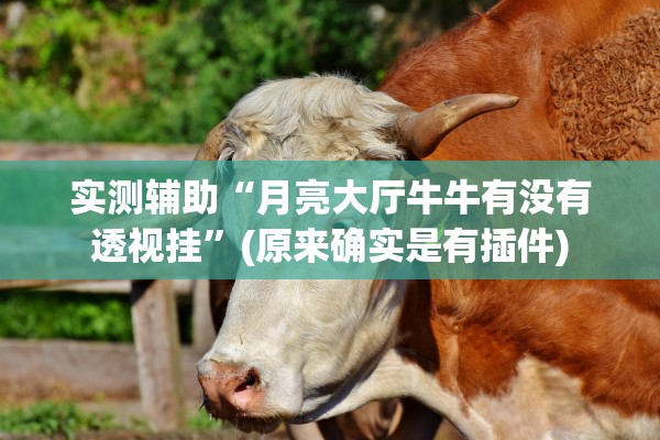 实测辅助“月亮大厅牛牛有没有透视挂	”(原来确实是有插件)