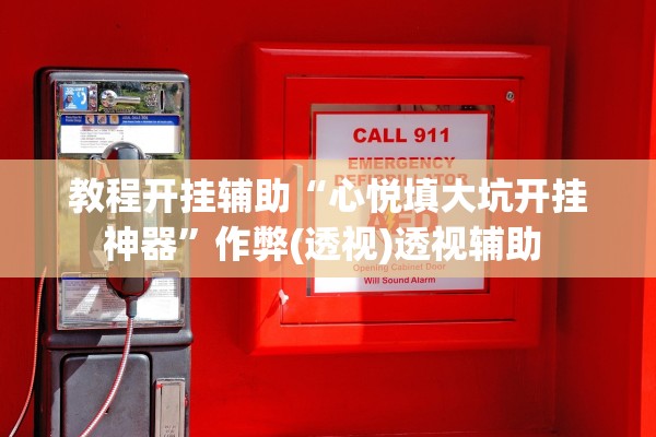 教程开挂辅助“心悦填大坑开挂神器”作弊(透视)透视辅助 