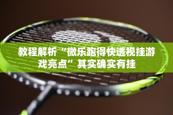 教程解析“微乐跑得快透视挂游戏亮点”其实确实有挂