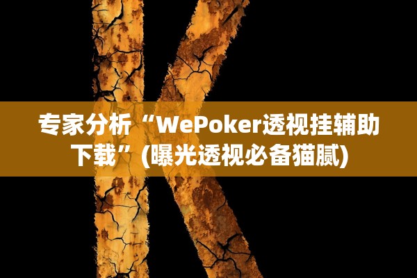 专家分析“WePoker透视挂辅助下载”(曝光透视必备猫腻)