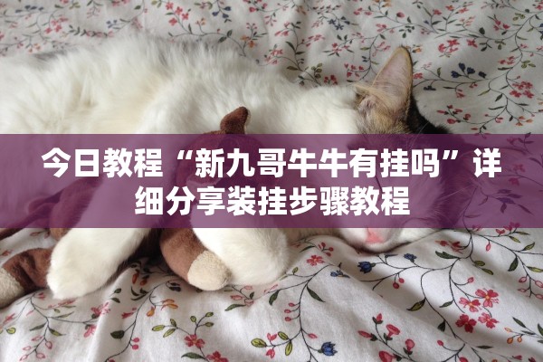 今日教程“新九哥牛牛有挂吗”详细分享装挂步骤教程