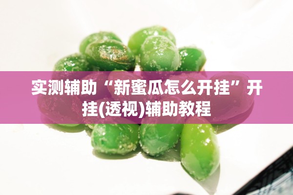 实测辅助“新蜜瓜怎么开挂	”开挂(透视)辅助教程