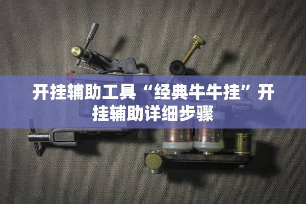 开挂辅助工具“经典牛牛挂”开挂辅助详细步骤