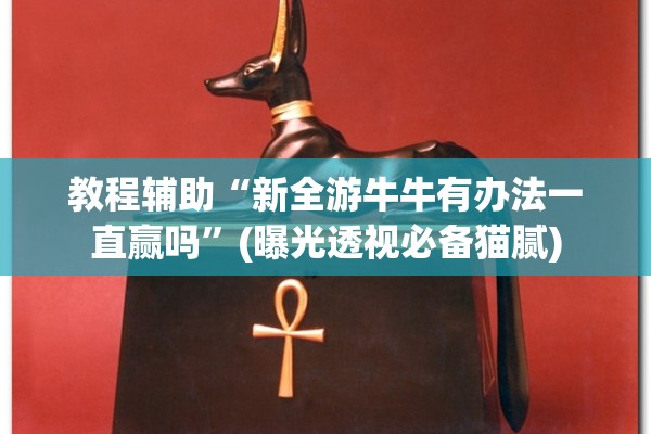 教程辅助“新全游牛牛有办法一直赢吗”(曝光透视必备猫腻)