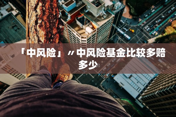 「中风险」〃中风险基金比较多赔多少