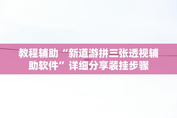 教程辅助“新道游拼三张透视辅助软件	”详细分享装挂步骤