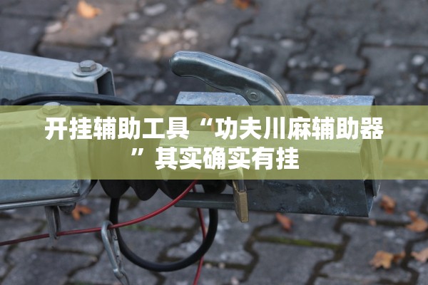 教程开挂辅助“微乐麻将怎样设置好牌”辅助器 – 实时智能回复