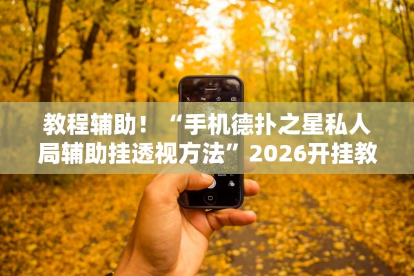 教程辅助！“手机德扑之星私人局辅助挂透视方法”2026开挂教程步骤