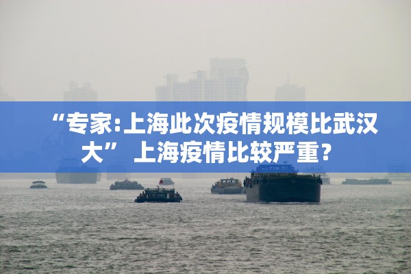 “专家:上海此次疫情规模比武汉大” 上海疫情比较严重？