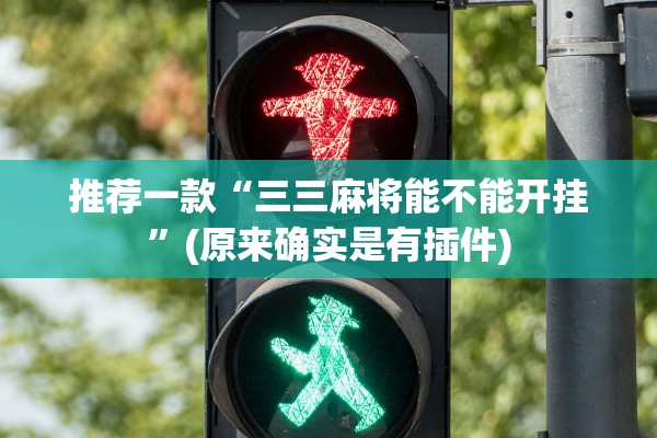 教程开挂辅助“丰城棋牌到底是不是挂”(原来确实是有插件)