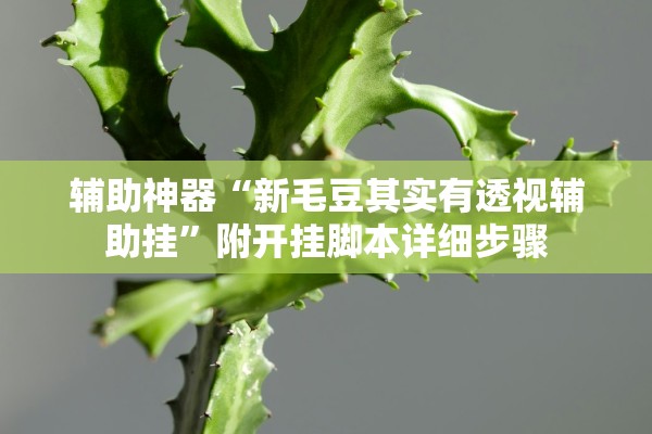 辅助神器“新毛豆其实有透视辅助挂”附开挂脚本详细步骤