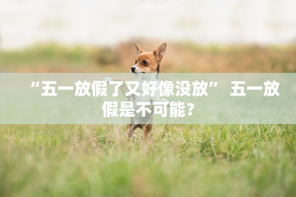 “五一放假了又好像没放” 五一放假是不可能？