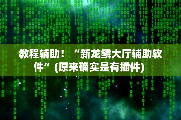 教程辅助！“新龙鳞大厅辅助软件”(原来确实是有插件) 