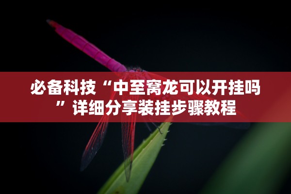 必备科技“中至窝龙可以开挂吗	”详细分享装挂步骤教程
