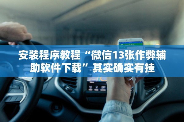 安装程序教程“微信13张作弊辅助软件下载”其实确实有挂