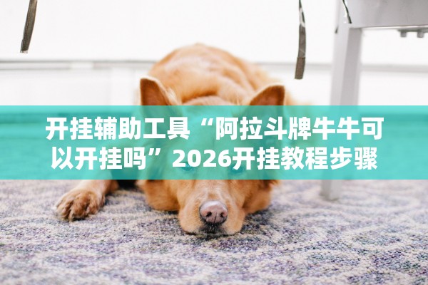 开挂辅助工具“阿拉斗牌牛牛可以开挂吗”2026开挂教程步骤