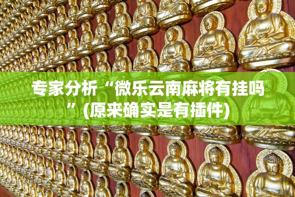 开挂辅助工具“微乐三代小程序必赢神器免费”开挂(透视)辅助教程