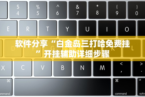 必备科技“新星游开挂辅助软件”(曝光透视必备猫腻)