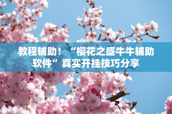 分享实测辅助“阿拉斗牌有人开挂吗”2025开挂教程步骤
