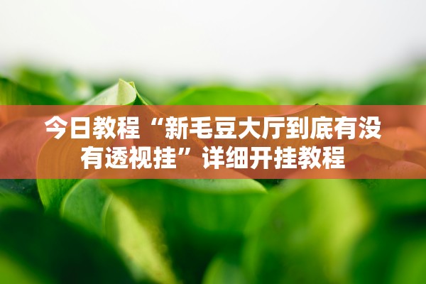 今日教程“新毛豆大厅到底有没有透视挂	”详细开挂教程