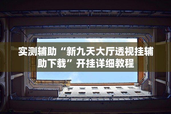 实测辅助“新九天大厅透视挂辅助下载”开挂详细教程