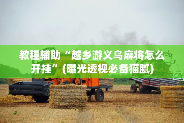 教程辅助“越乡游义乌麻将怎么开挂”(曝光透视必备猫腻)