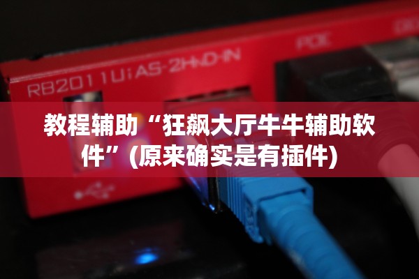 教程辅助“狂飙大厅牛牛辅助软件”(原来确实是有插件)