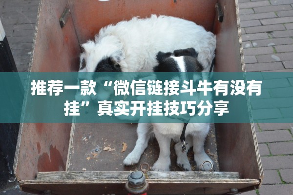 推荐一款“微信链接斗牛有没有挂”真实开挂技巧分享