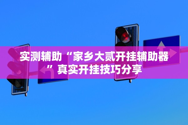 实测辅助“家乡大贰开挂辅助器”真实开挂技巧分享