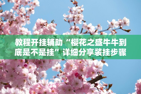 教程开挂辅助“樱花之盛牛牛到底是不是挂”详细分享装挂步骤教程