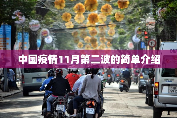 中国疫情11月第二波的简单介绍