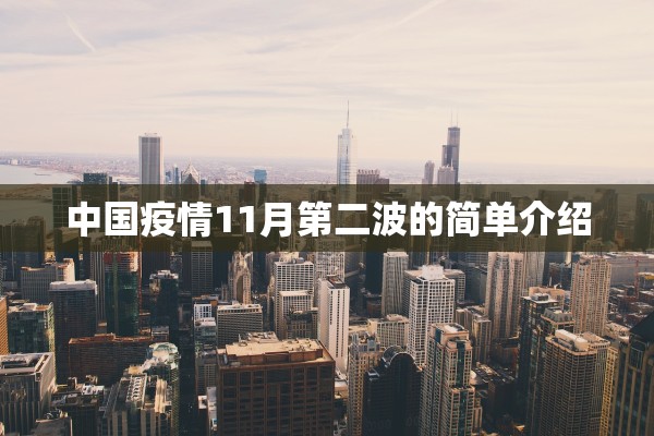 中国疫情11月第二波的简单介绍