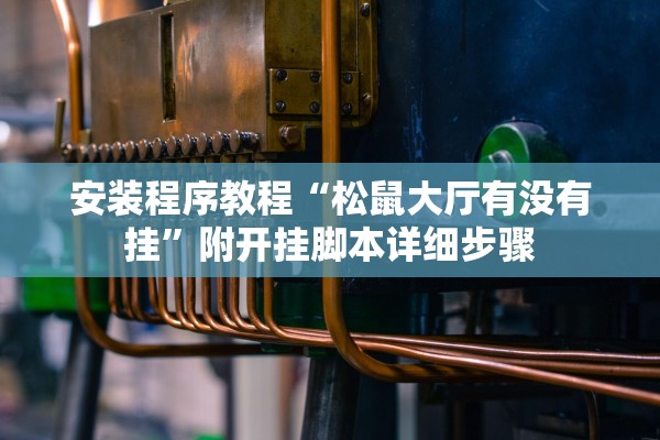 安装程序教程“松鼠大厅有没有挂”附开挂脚本详细步骤